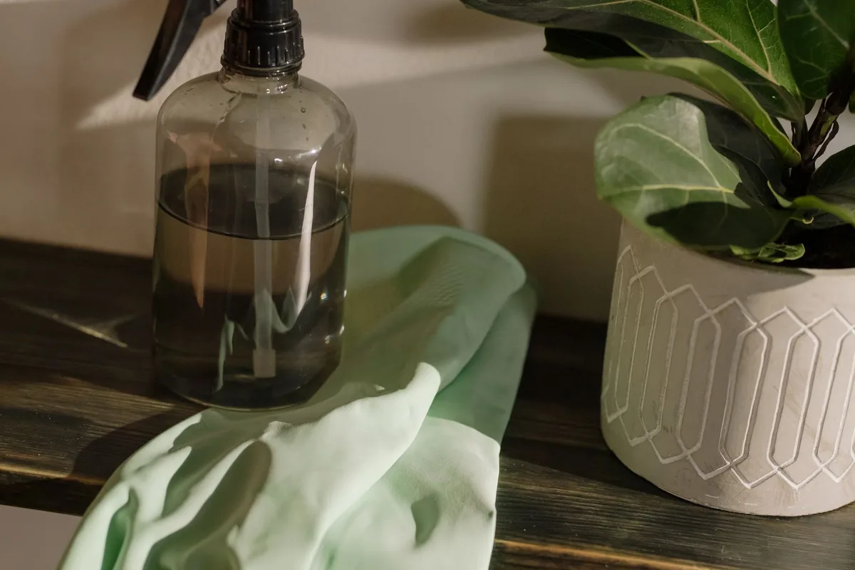 Biohazard Decontamination in Home, WA